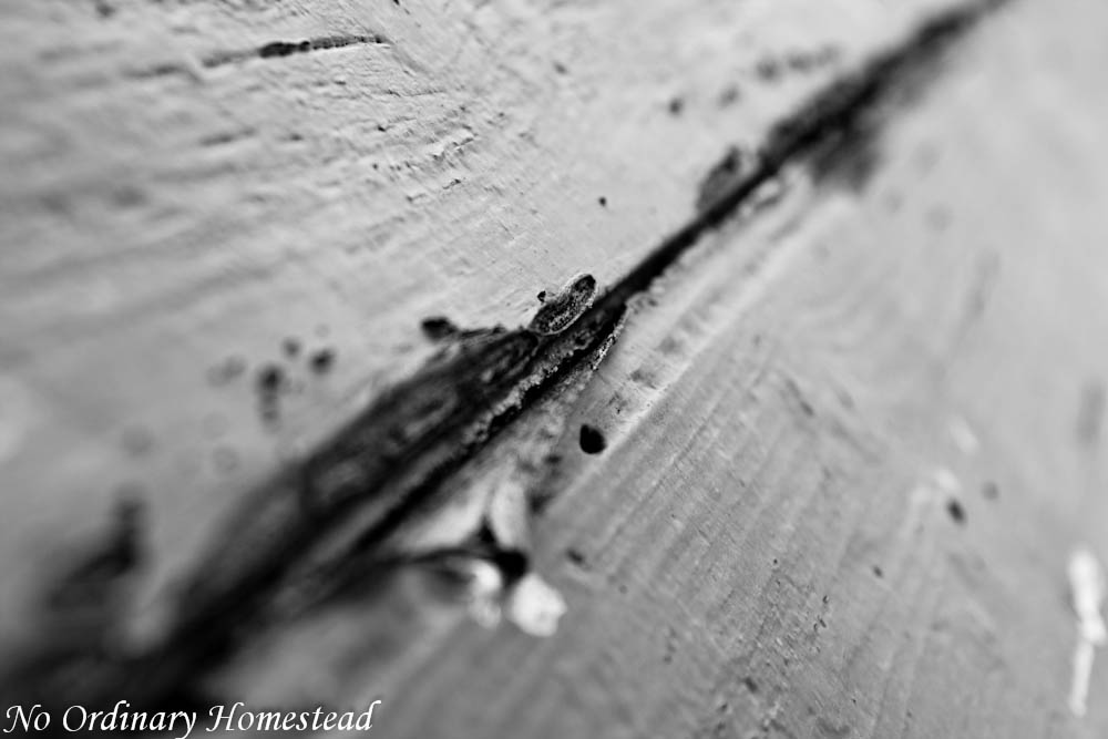 Watch the lines