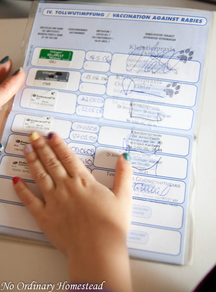 How to move pets in Germany? No Ordinary Homestead