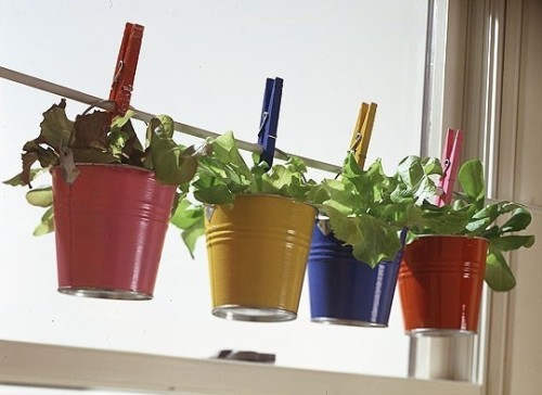 bucket-garden
