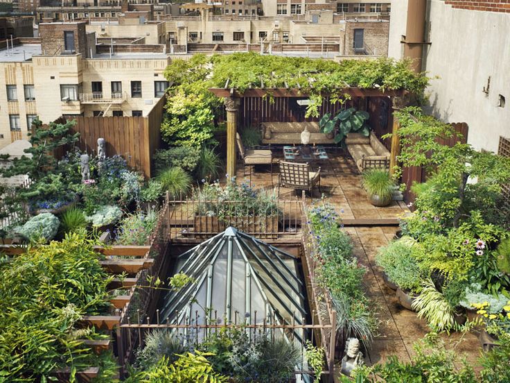 {Garden Life} Garden Brilliance for Small Spaces