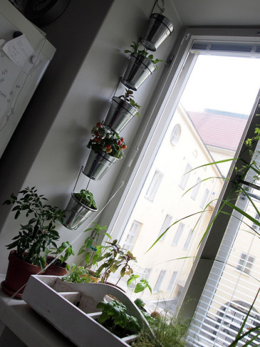 vertical-garden-ikea
