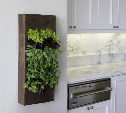wall-garden