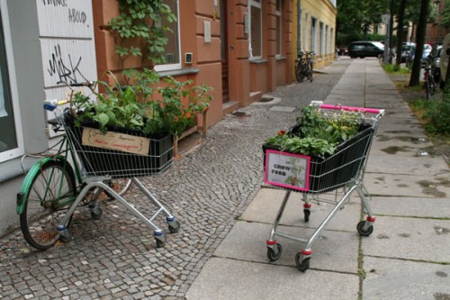 guerrilla gardening berlin