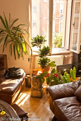 Garden Life in Berlin