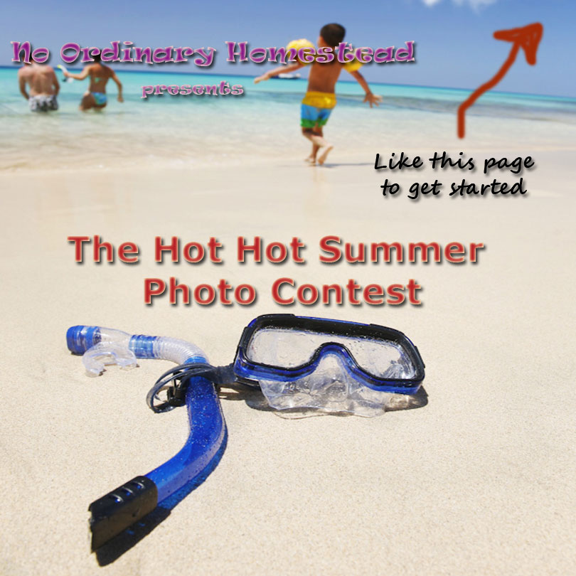 Enter the Hot Hot Summer Photo Contest Today