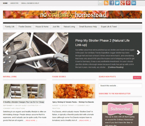 Why using just any old theme could destroy your site