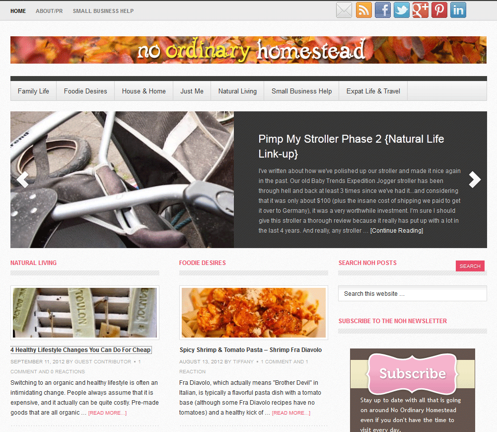 Why using just any old theme could destroy your site