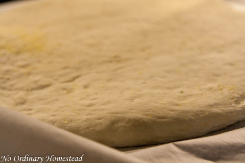 pizza-recipe-bread-machine