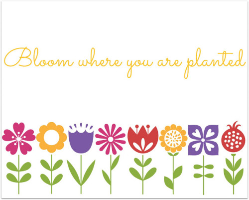 Download this as a printable