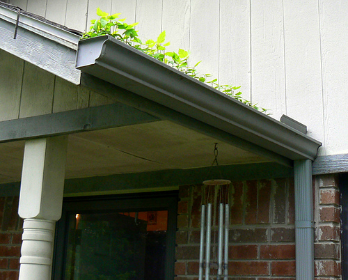 Home repairs you don’t have to outsource