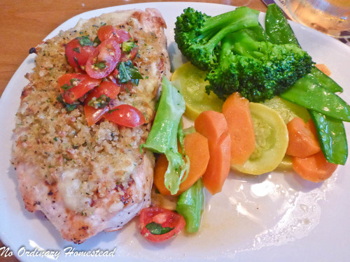outback-east-naples_herb-crusted-chicken