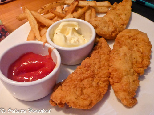 outback-east-naples_chicken-fingers