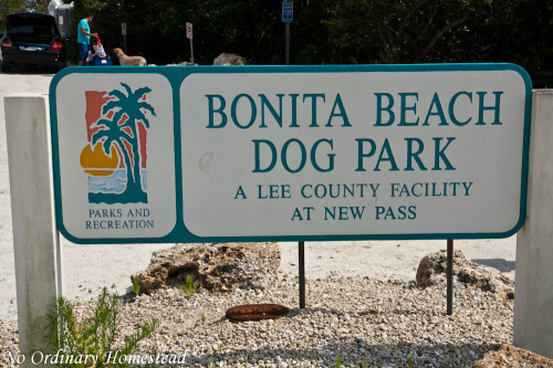 bonita-beach-dog-park_01