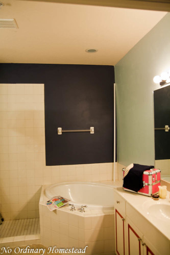 master-suite-makeover-11