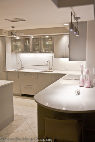 One Sleek Small Kitchen Remodel