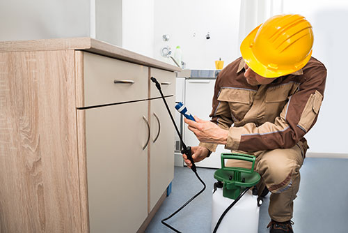3 Questions to Ask Before Exterminators Visit Your Home