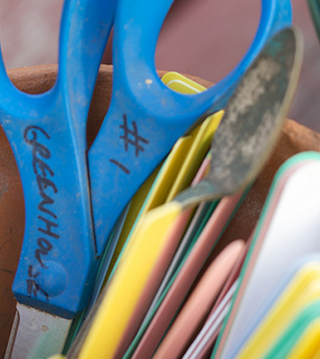 Starting Your Home Garden (For Cheap)