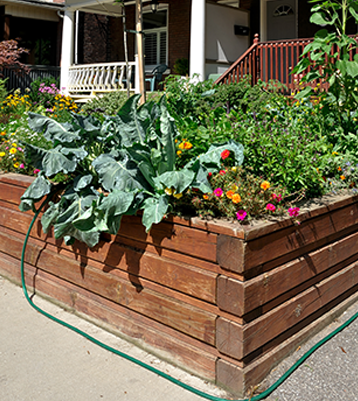 7 Raised Garden Tricks Everyone Should Know
