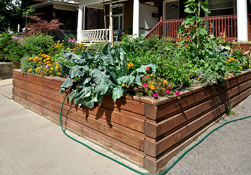 Raised-Garden-Bed