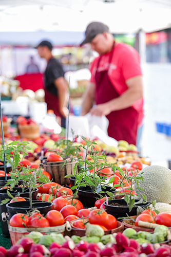 buy.local.market