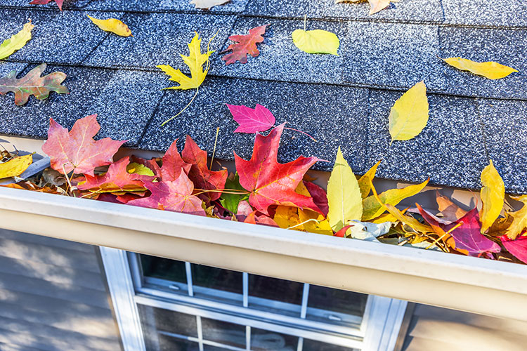 4 Easy Home Maintenance Tasks for the Fall