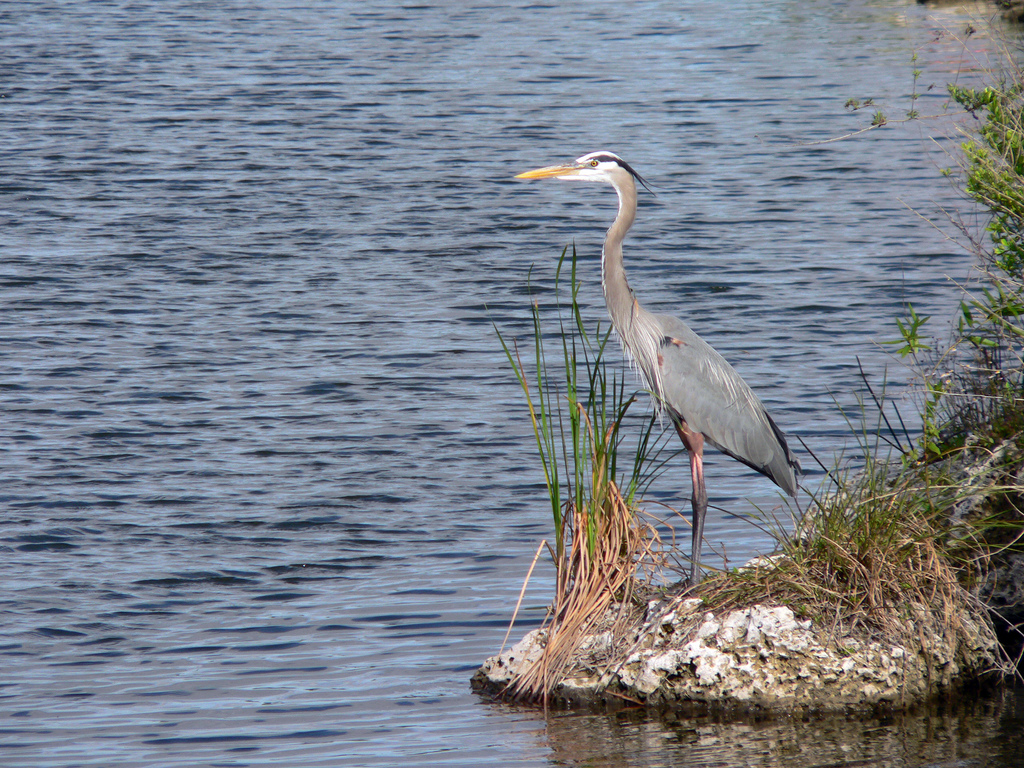 5 Off-Beat Things to do in Florida