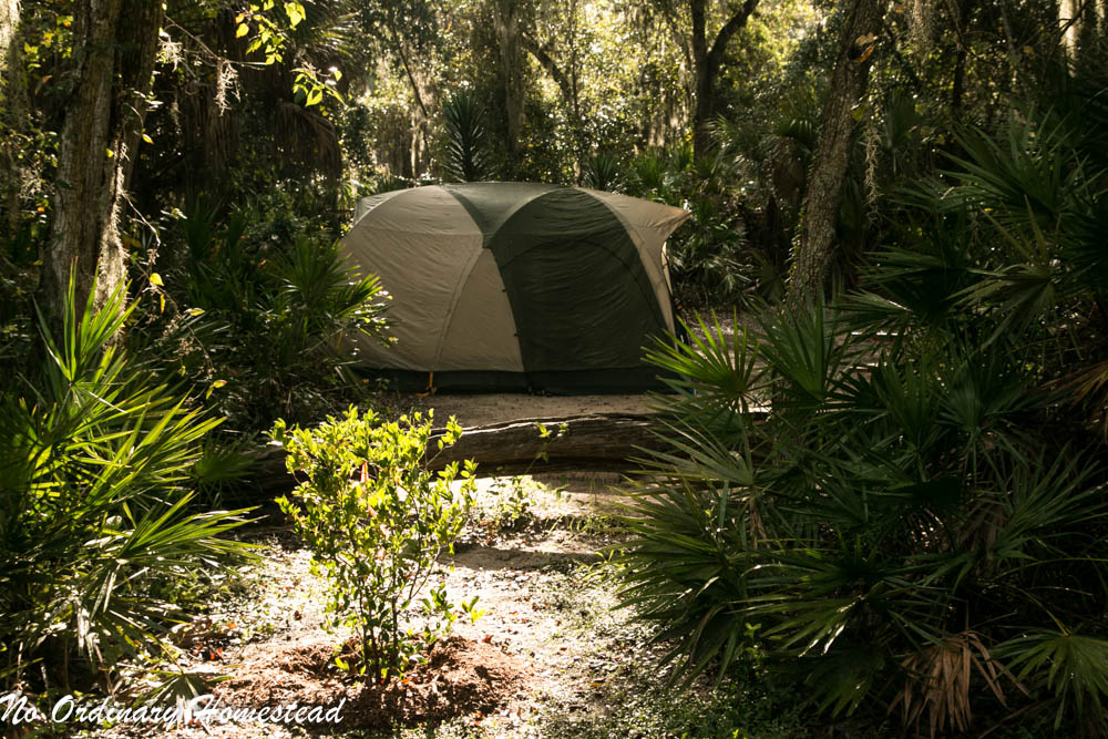 Camping in Oscar Scherer State Park - Woody and Peaceful