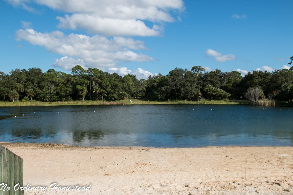 Camping in Oscar Scherer State Park - Woody and Peaceful