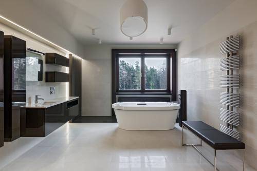 Luxury Bathroom Interior