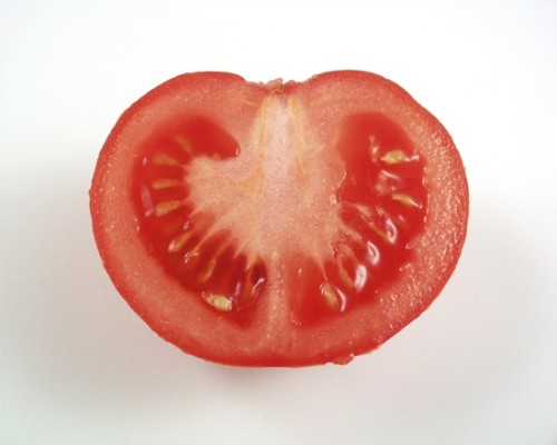 tomato-save-the-seeds