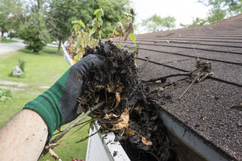 roof maintenance