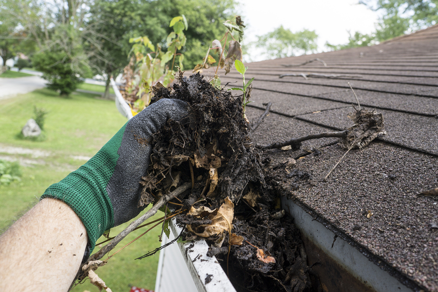 4 Simple Roofing Tips to Avoid Costly Problems