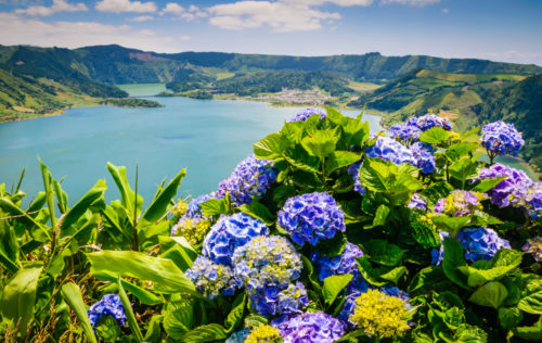 noordinaryhomesteadcom-lake_of_sete_cidades_with_hortensias_azores_portugal_europe-574c104bb5e56