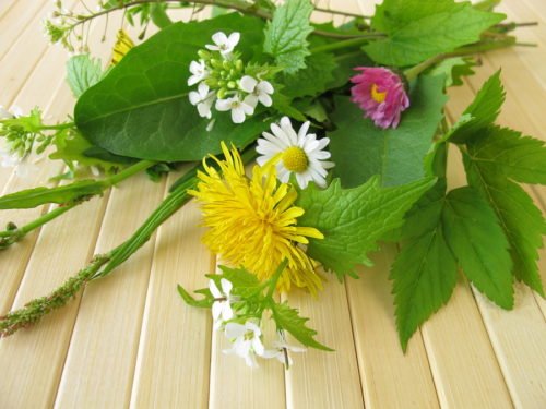 Bouquet of wild herbs