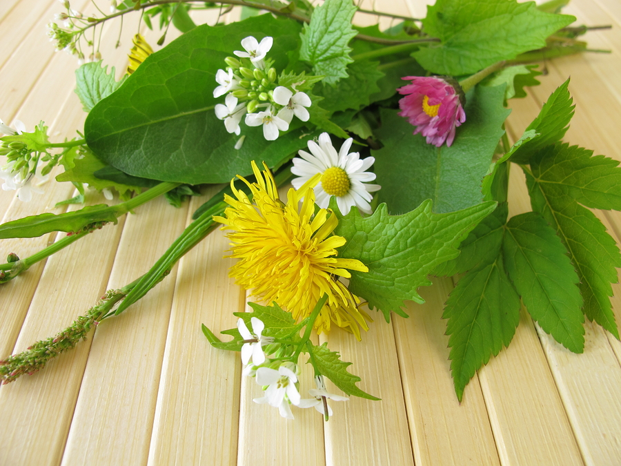How Weeds Are Benefiting Your Garden
