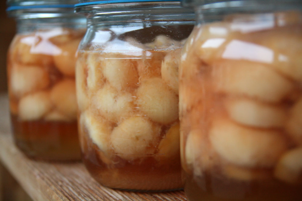 Canning peaches