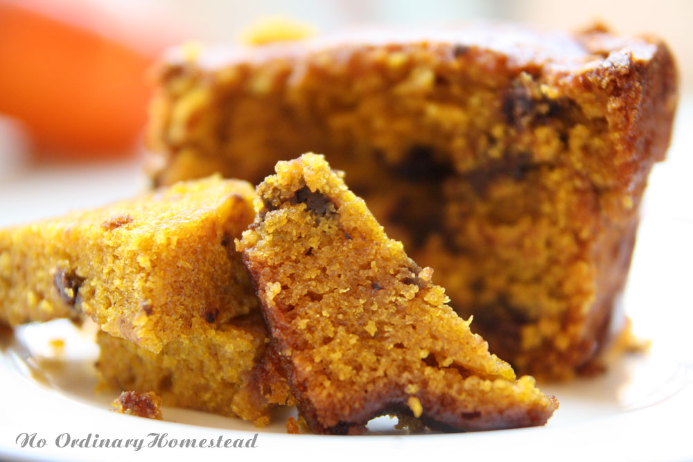 Pumpkin Bread with Chocolate Chips