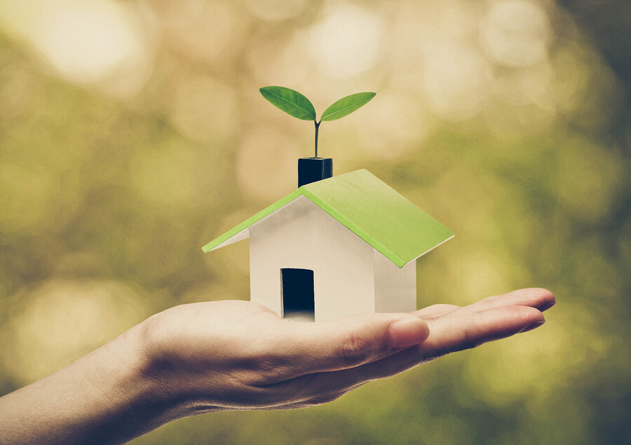 Even More Ways to Go Green – Shrink Your Carbon Footprint