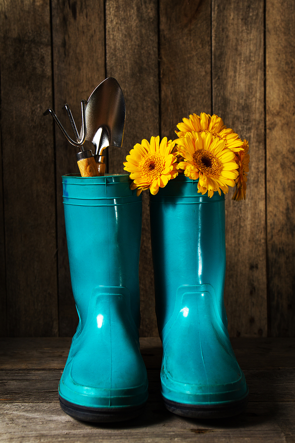 How to Groom Your Flower Garden