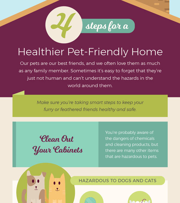 4 Steps for a Healthier Pet-Friendly Home