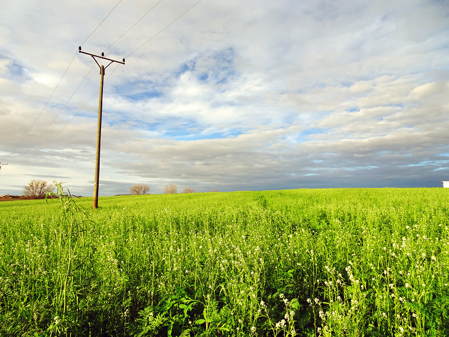 How Do Farmers Connect to the Internet?