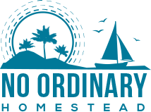 No Ordinary Homestead