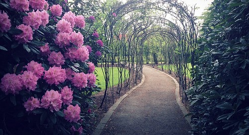 How to Lay Out the Perfect Garden Path