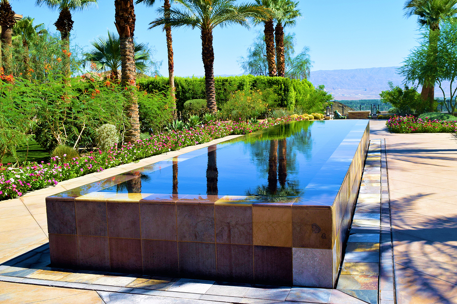 Perfect Plants to Create a Poolside Oasis