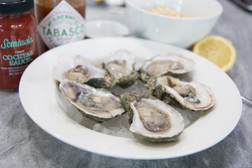 How to Shuck Oysters in Florida