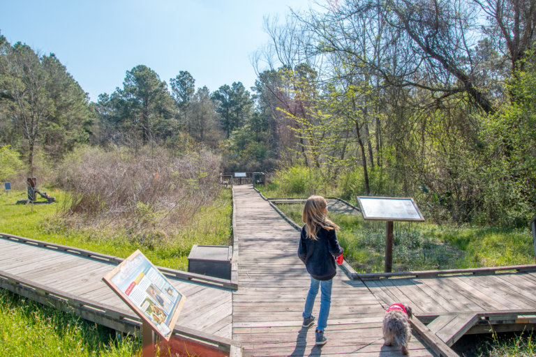 Lake Livingston State Park Texas Visit