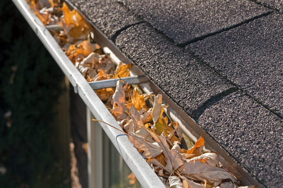 Seasonal Home Maintenance Tasks