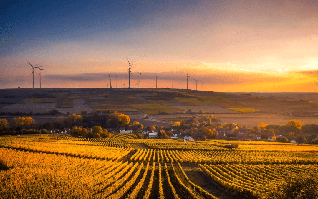 What Makes an Eco-Friendly Farm?