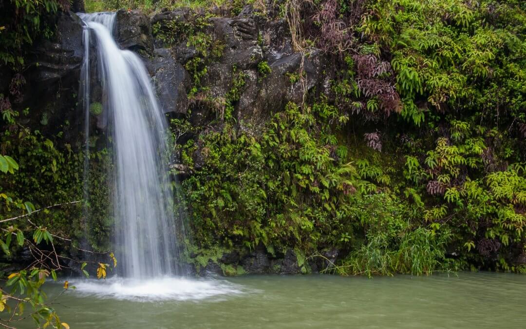 A short and simple travel guide to Maui