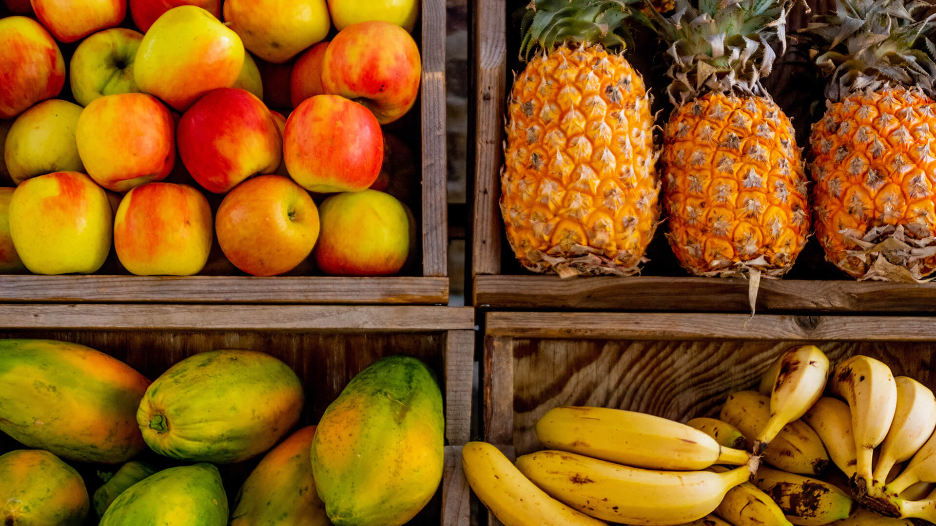 fruits
